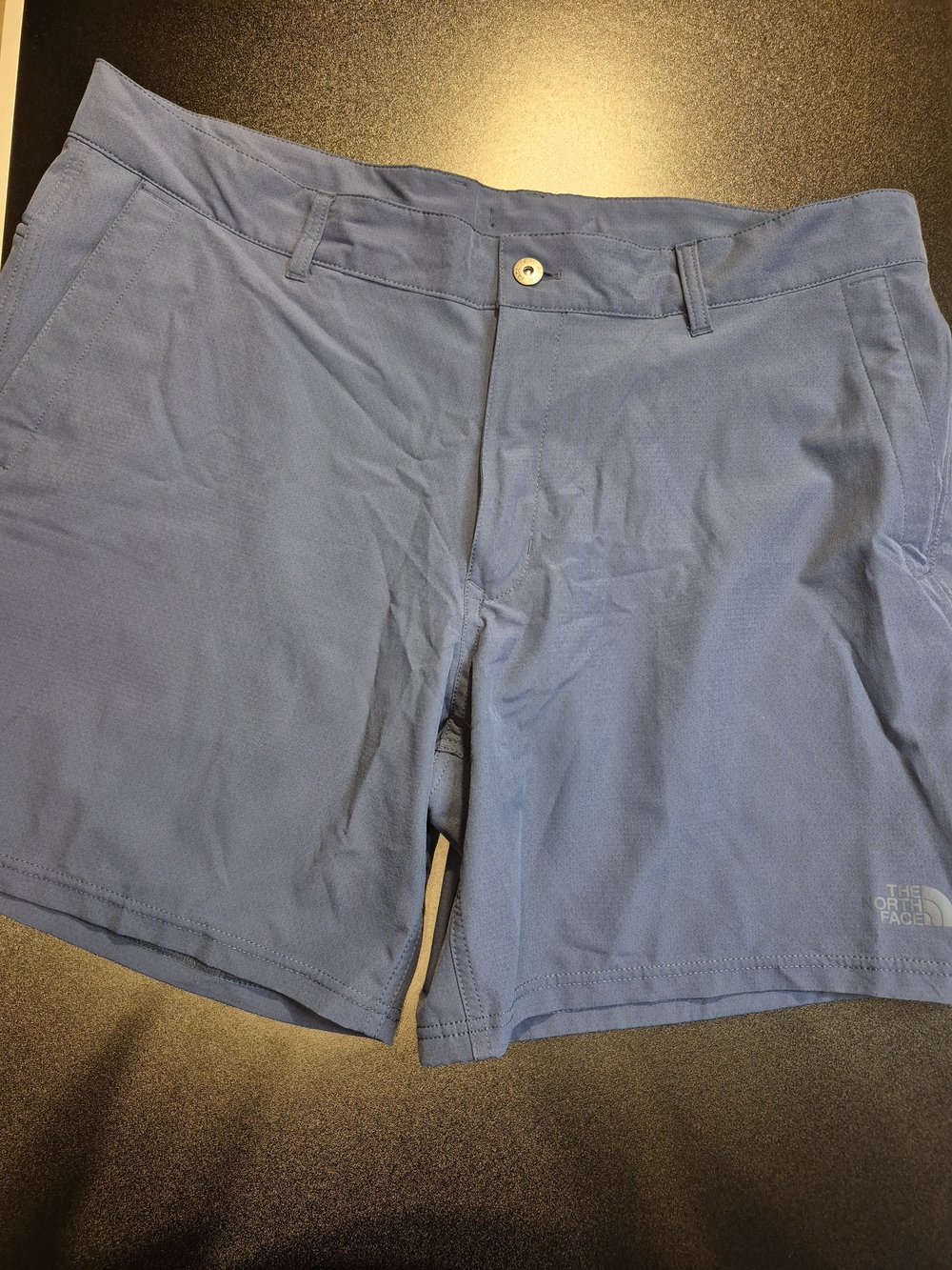 The North Face Men's Blue Performance Shorts